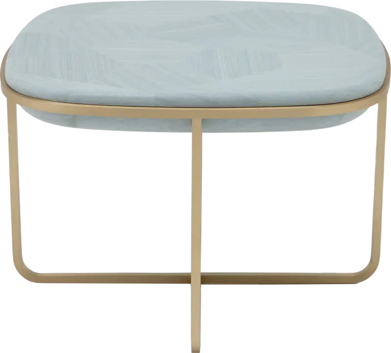 Carapace Low Table